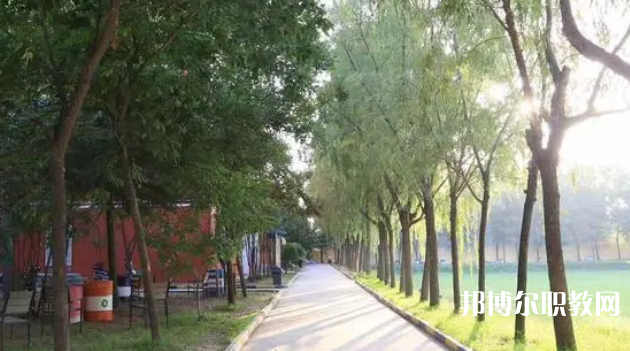 2023西安大中科技技工學(xué)校招生計(jì)劃 招生人數(shù)是多少(附要求、條件、對(duì)象)