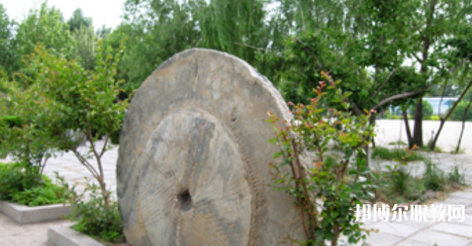 野風(fēng)美術(shù)中學(xué)怎么樣、好不好