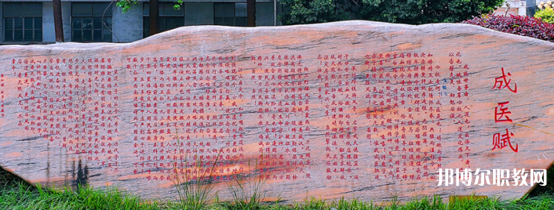成都成醫(yī)一附院護(hù)士學(xué)校2024年學(xué)費(fèi)、收費(fèi)多少
