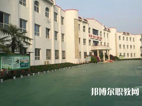 湖北世達實用外國語學校2023年招生錄取分數線（2024參考）