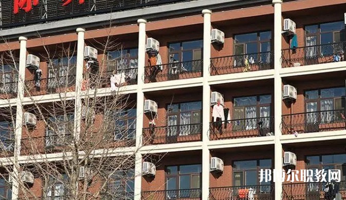 2024大連國際舞蹈學(xué)校招生計劃 招生人數(shù)是多少(附要求、條件、對象)