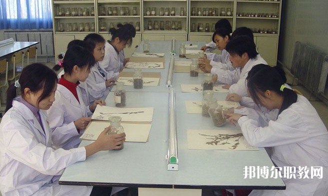 沈陽市中醫(yī)藥學校怎么樣、好不好