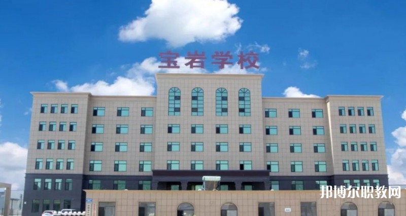 2025沈陽(yáng)寶巖藝術(shù)學(xué)校招生計(jì)劃 招生人數(shù)是多少(附要求、條件、對(duì)象)