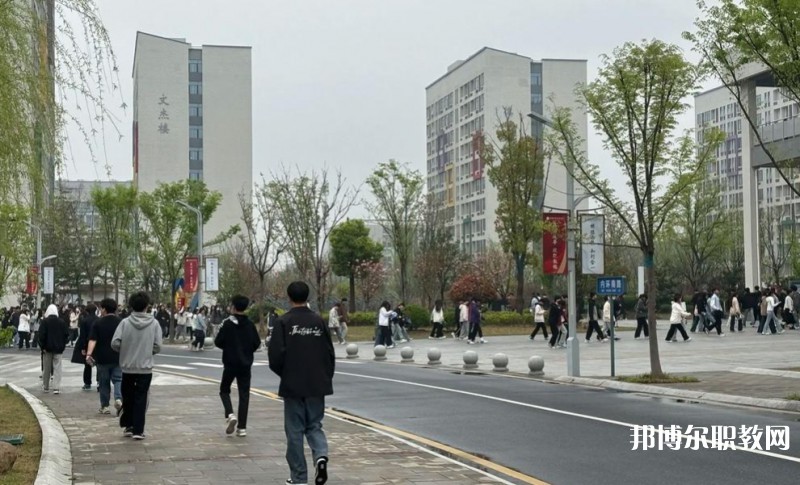 2025合肥技師學(xué)院招生計劃 招生人數(shù)是多少(附要求、條件、對象)